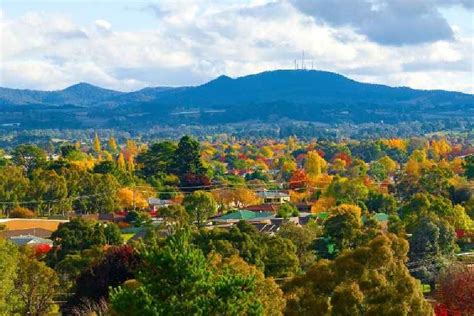 locanto orange|locanto orange nsw.